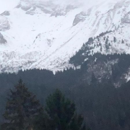Appartement 2 Chambres Centre Morzine Εξωτερικό φωτογραφία